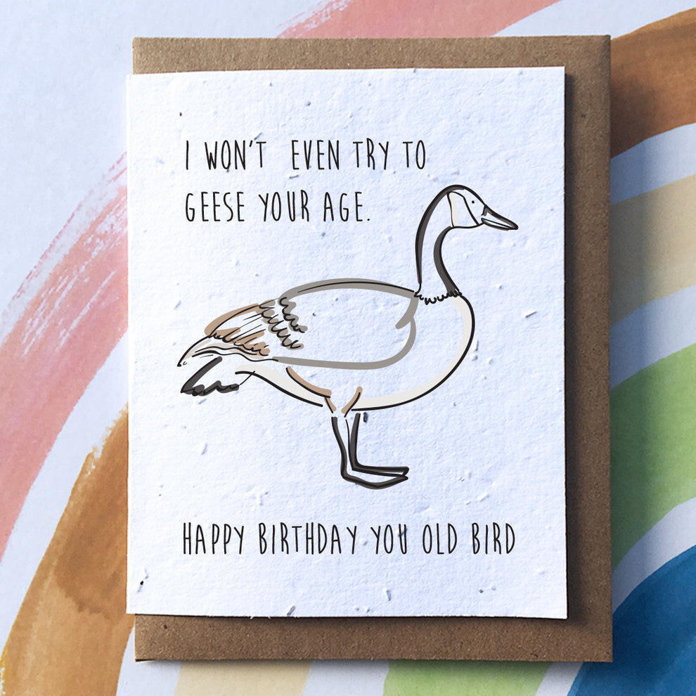 Geese Puns: Flock to the Funniest Quacks Online!